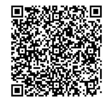 QR Code PIX